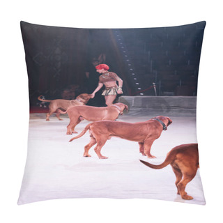 Personality  KYIV, UKRAINE - NOVEMBER 1, 2019: Side View Of Beautiful Handler Doing Trick With Dogue De Bordeaux At Circus Arena Pillow Covers