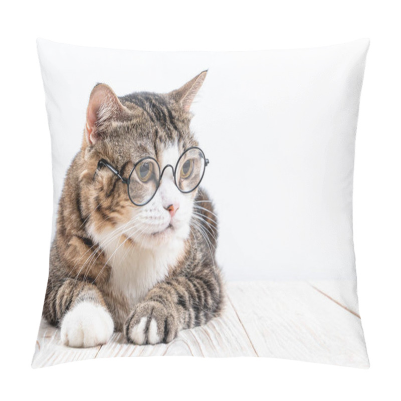 Personality  cute cat with glasses pillow covers