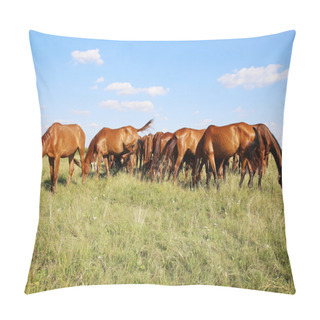 Personality  Herd Of Horses Grazing On Green Meadow Panoramic View Pillow Covers