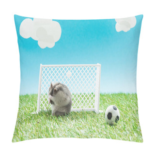 Personality  Furry Hamster Near Toy Soccer Ball And Gates On Green Grass On Blue Background With Clouds, Sports Betting Concept Pillow Covers