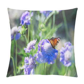 Personality  Butterfly Sitting On Cabiosa Caucasica Caucasian Pincushion Flower, Scabiosus Flowering Ornamental Light Blue Beautiful Garden Plant Pillow Covers