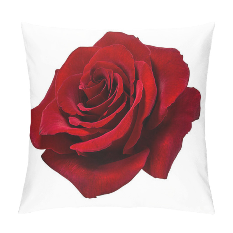 Personality  rose isolated on white background pillow covers