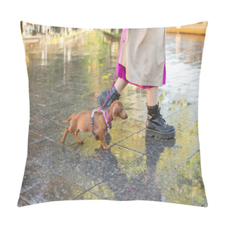 Personality  Walking With Your Pet. Woman Walking With Dachshund Puppy On Leash In City After Rain Pillow Covers