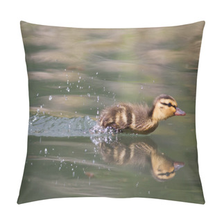 Personality Mallard Duckling Chasing Insects Pillow Covers