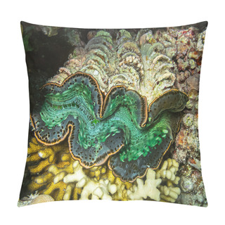 Personality  Detail Of The Mantle Of A Giant Clam, Tridacna, Growing On A Coral Reef  Pillow Covers