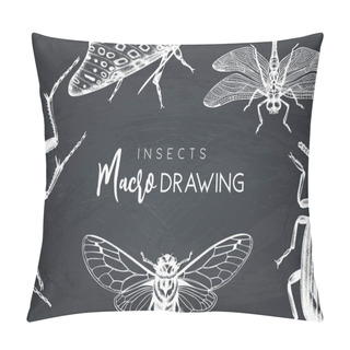 Personality  Vector Background With Hand Drawn Insects Illustrations.Vintage Butterfly, Cicada, Beetle, Bug, Dragonfly Drawing. Entomological Vector Template Design. Pillow Covers