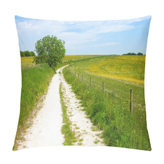 Personality  North Downs Way Path Pillow Covers
