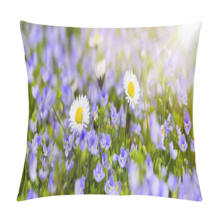 Personality  Wide Angle View To Daisy Flowers At Spring With Sunbeams Pillow Covers