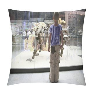 Personality  Boy And Dinosaurs Skeleton Pillow Covers
