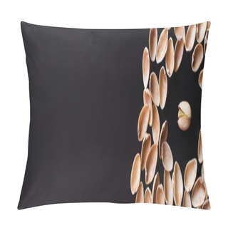 Personality  Flay Lay Of Nutshells Around Tasty Pistachio Nut Isolated On Black, Banner Pillow Covers