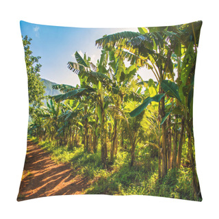 Personality  Vinales, Cuba - July 11 2018 : Horse Back Riding Around Vinales. Palm Trees Along The Path Pillow Covers