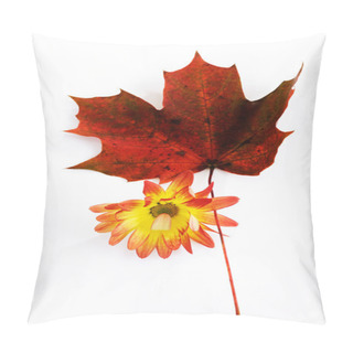 Personality  Chrysanthemum And Red Maple Leaf Pillow Covers