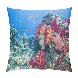 Personality  Dendronephthya Soft Corals Pillow Covers