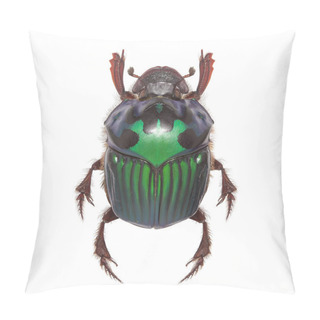 Personality  Beautiful Exotic Beetle Dung Oxysternon Conspicillatum_f Pillow Covers