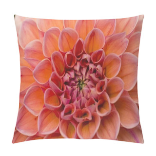 Personality  Closeup View Of Beautiful Dahlia Flower Pillow Covers