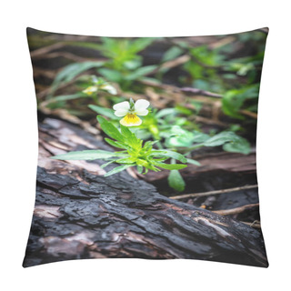 Personality  Wild Pansy Flower Pillow Covers
