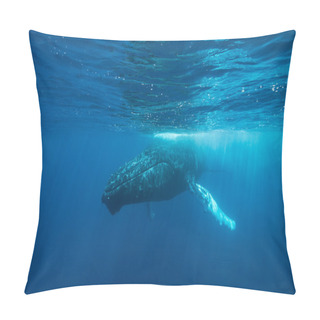 Personality  Humpback Whale In Shallow Water Pillow Covers