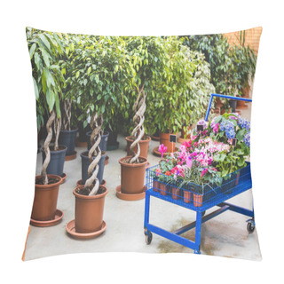Personality  Metal Cart With Blooming Flowers By Ficus Trees In Pots Pillow Covers