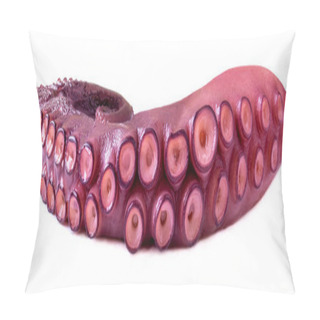 Personality  Tentacles Of Octopus Isolated On White Background Closeup.  Sea  Pillow Covers