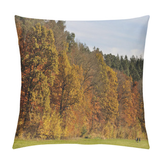 Personality  Gorgeous Autumnal Landscape, Sieben Muelen Tal Pillow Covers