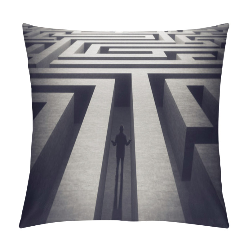 Personality  Lost in labyrinth pillow covers
