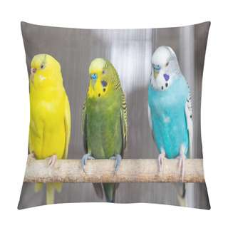 Personality  Group Of Fancy Color Budgerigar In The Cage Pillow Covers