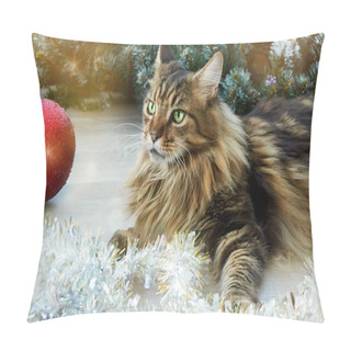Personality  A Beautiful Maine Coon Cat Is Lying In Christmas Tinsel. Christmas Kitty Pillow Covers