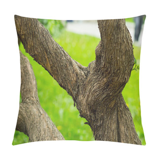 Personality  Old Tree Branched With Twisted Bark On A Green Background Pillow Covers