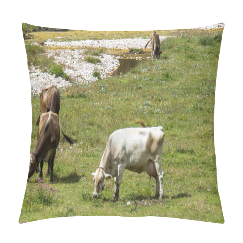 Personality  Bovines Grazing Pillow Covers