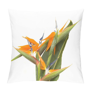Personality  Bouquet O Strelitzia Flowers Pillow Covers