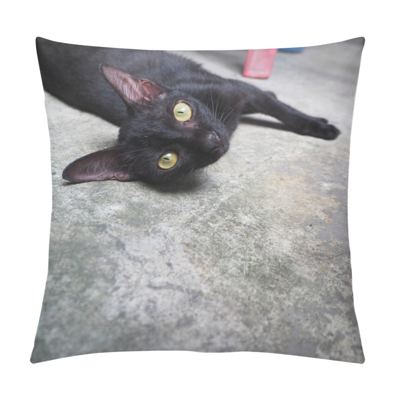 Personality  Black cat sleep in the morning sun. pillow covers