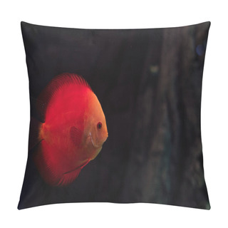 Personality  Red Fish Swimming Under Water In Dark Aquarium Pillow Covers