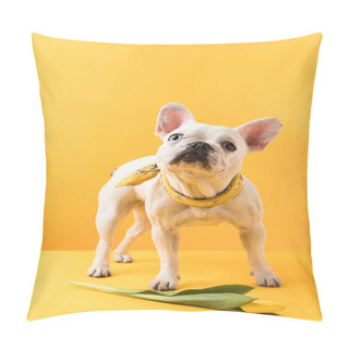 Personality  Cute French Bulldog With Beautiful Yellow Tulip Flower On Yellow Pillow Covers