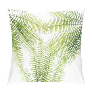 Personality  Elevated View Of Beautiful Green Fern Branches Isolated On White Pillow Covers