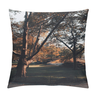 Personality  Autumn Park With Lawn And Walkways In New York City Pillow Covers