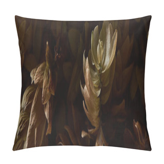 Personality  Close Up View Of Dry Hop Seed Cones Isolated On Black, Panoramic Shot Pillow Covers