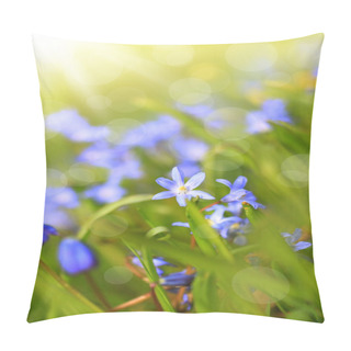 Personality  Beautiful, Blue, Spring Scilla Flowers Pillow Covers