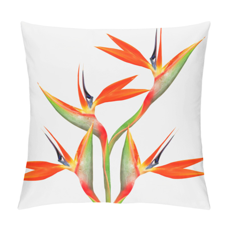 Personality  beautiful bright bird of paradise bouquet pillow covers