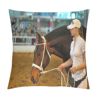 Personality  Exhibition Breed Horses Pillow Covers