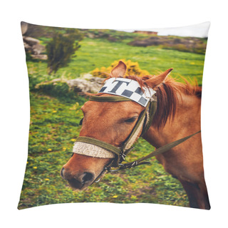Personality  Horse Pillow Covers