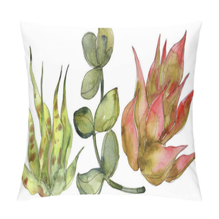 Personality  Exotic Tropical Succulents. Watercolor Background Illustration Set. Isolated Succulents Illustration Elements. Pillow Covers
