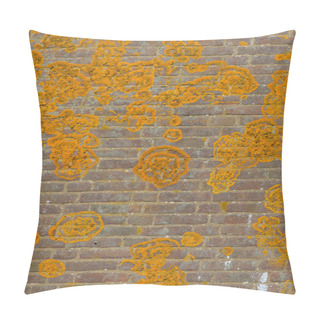 Personality  Orange Crustose Lichen  Pillow Covers