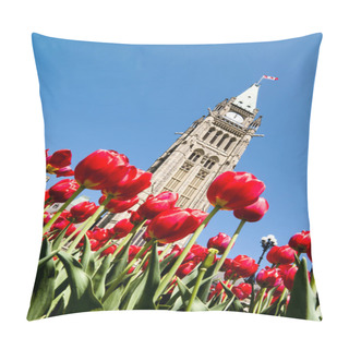 Personality  Beautiful View Of Natural Tulip Flowers Pillow Covers