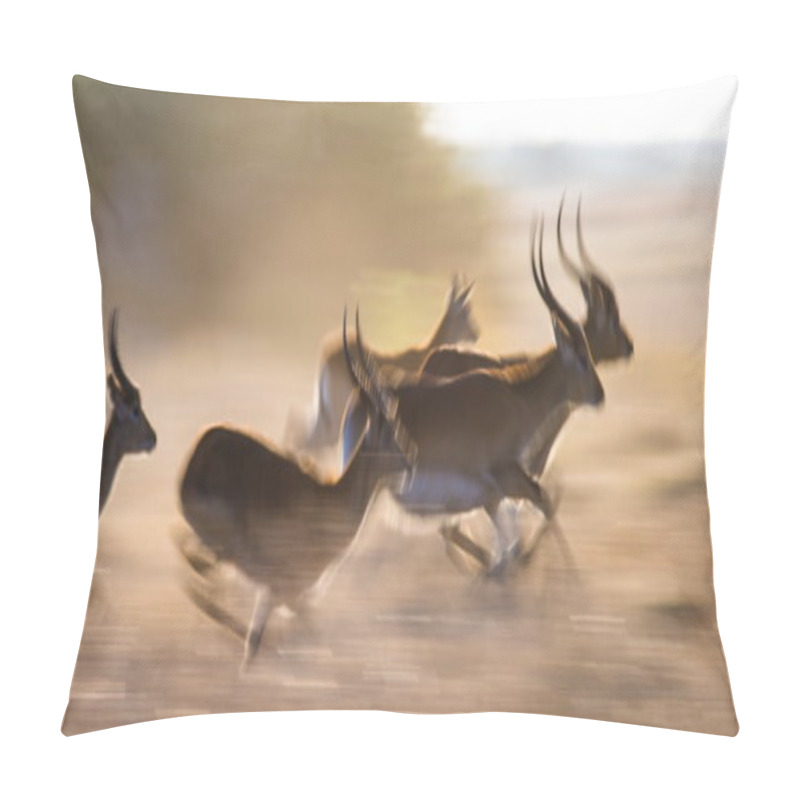 Personality  Adult african gazelles  running pillow covers