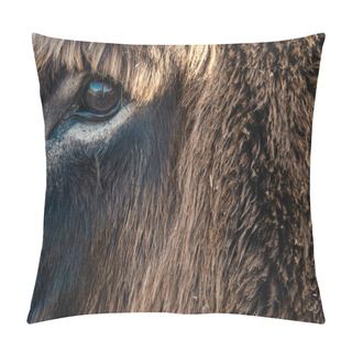 Personality  Close-up Of A Donkey's Head With The Eye Detail Reflecting The Surroundings. Brown Fur. Horizontal Composition With Copy Space. Pillow Covers