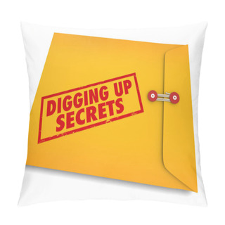 Personality  Digging Up Secrets Investigate Find Clues 3d Illustration Pillow Covers