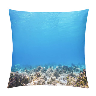 Personality  Underwater Scene Sunlight, Underwater Life. Pillow Covers