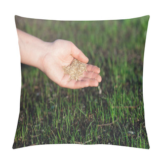 Personality  Close-up Of A Woman's Hand Shaking Grass Seeds. (Shallow DOF) Pillow Covers
