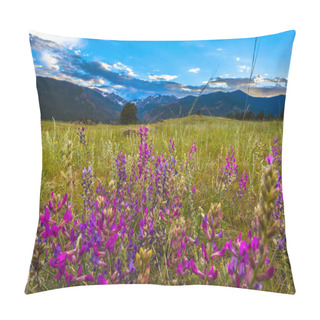 Personality  Indian Paintbrush Flowers Colorado Landscape Pillow Covers