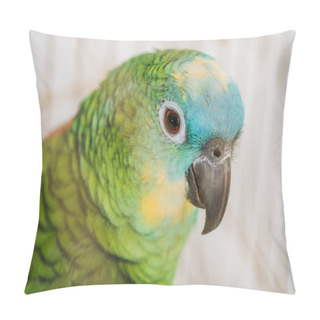 Personality  Selective Focus Of Beautiful Green Parrot With Multicolored Head Pillow Covers